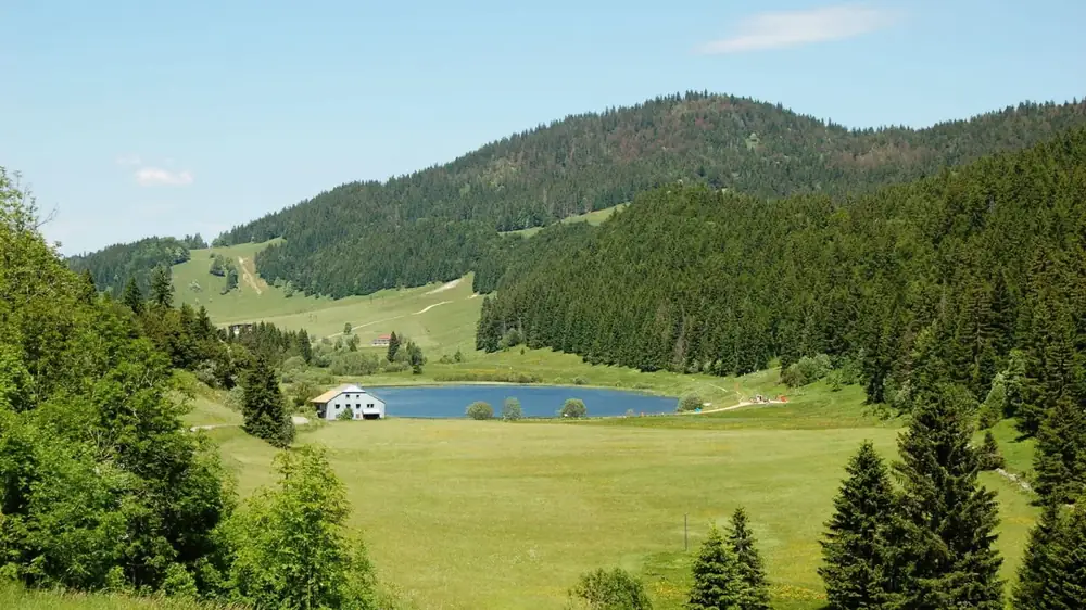 Le lac de Lamoura entouré de prairies et de montagnes boisées du Haut-Jura