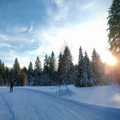 Piste de ski de fond du glacier, Morbier