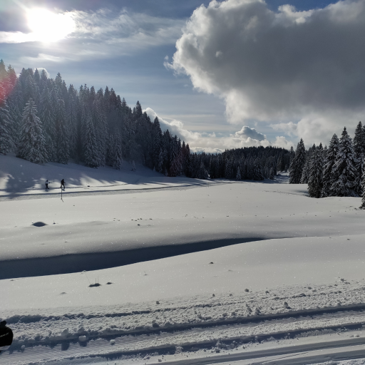 Piste de ski de fond ensoleillée
